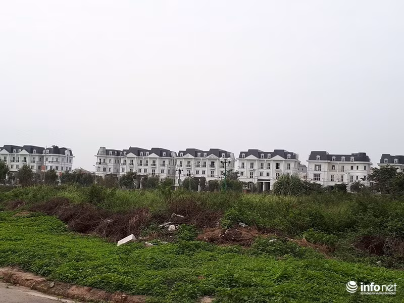 Tất cả các căn biệt thự này đều trong tình trạng "cửa đóng then cài" và ngập trong màu xanh cỏ dại...