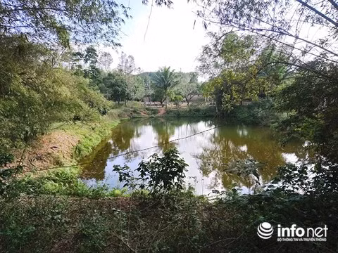 Hồ nước trong dự án.