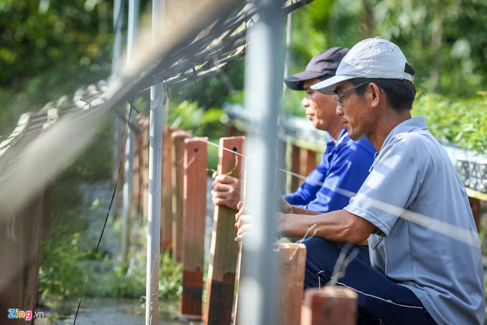 Điều đáng mừng là trong vài năm trở lại đây, hoa hồng Sa Đéc rất hút khách. Các giống hoa này được thị trường cả nước rất ưa chuộng. Anh Hồ Xuân Thảo (áo xanh), chủ một vườn hoa tại xã Tân Khánh Đông, đang làm thêm giàn để trồng hoa bán Tết. 