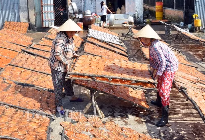 Vào mỗi dịp cận Tết không khí làm cá khô tại làng nghề làm khô nhộn nhịp hơn bao giờ hết. Ảnh: Dân Việt.