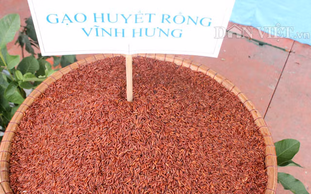 Chiem nguong nam rung khung, ca dua dac san o cho phien nong san-Hinh-7