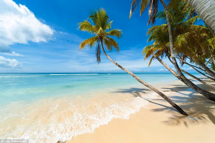Tháng Ba: Tận hưởng cuộc sống dưới bóng mát của những cây cọ ở bãi biển Pigeon Point.