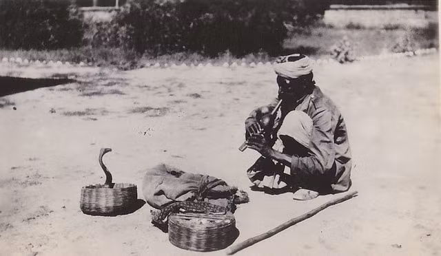 Một người làm nghề dụ rắn ở Ấn Độ vào khoảng những năm 1930.
