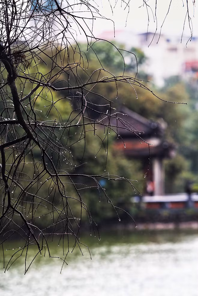 Mưa đến và đi cũng rất nhanh mang lại cho đất trời, cho lòng người bao cảm xúc, xuyến xao đến lạ lùng.