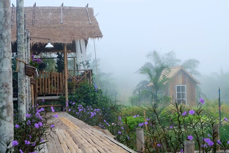 Một lối đi ngập sắc hoa.