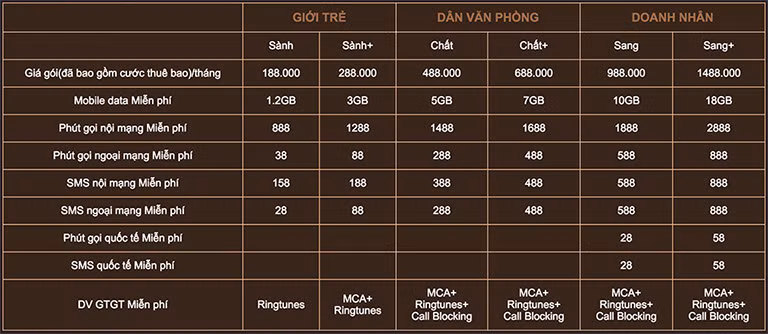 Với những sim Vip, người dùng được hưởng các ưu đãi như quyền sử dụng phòng chờ hạng thương gia cho tất cả các chuyến bay nội địa, quốc tế tại sân bay Nội Bài, Tân Sơn Nhất…, nhận ưu đãi từ California Fitness hay các khách sạn 5 sao như Six Senses Ninh Van Bay.