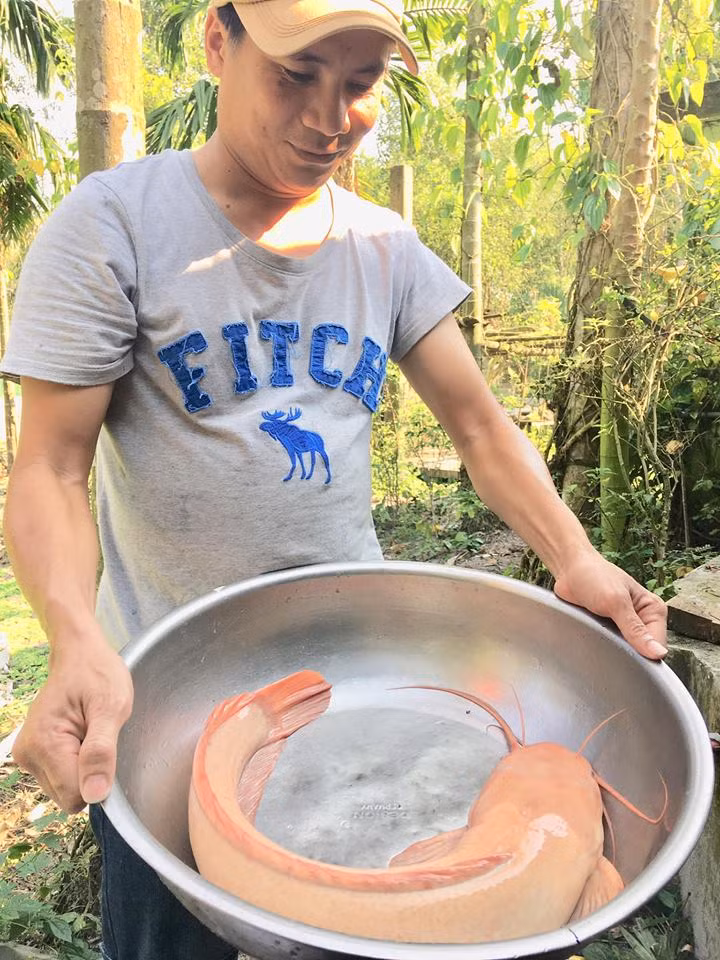 Ngay Tet di tha luoi, bat duoc ca tre vang khung dai hon nua met