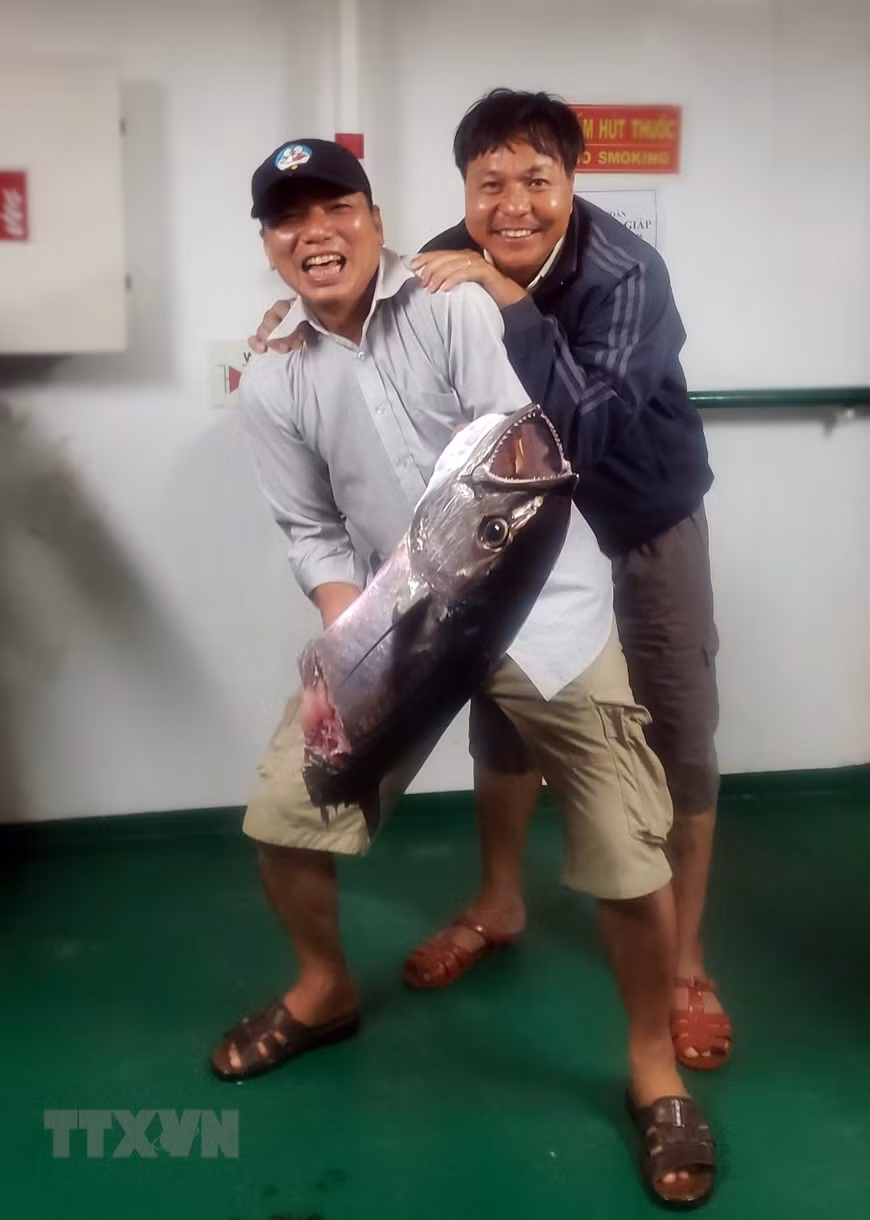 Tuy chú cá thu câu được bị cá săn mồi ăn mất nửa thân dưới nhưng mọi người vẫn tỏ ra hào hứng với kết quả của buổi câu. (Ảnh: Hoàng Hùng/TTXVN)