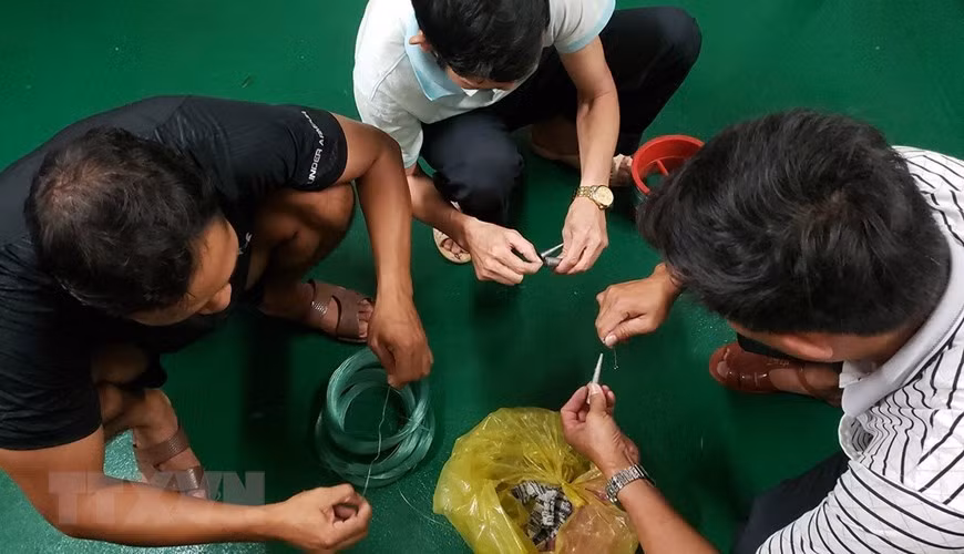 Tháo cuộn cước, gắn các thỏi chì, buộc lưỡi câu chuẩn bị cho một buổi câu đêm.(Ảnh: Hoàng Hùng/TTXVN)