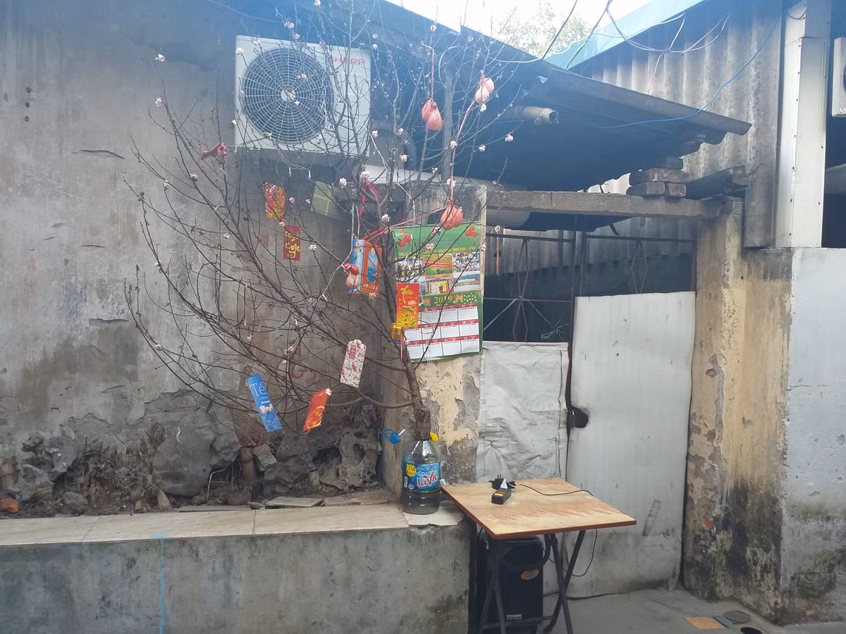Tết ở xóm chạy thận bữa ăn không phải bánh chưng mà là thuốc Tet o xom chay than bua an khong phai banh chung ma la thuoc