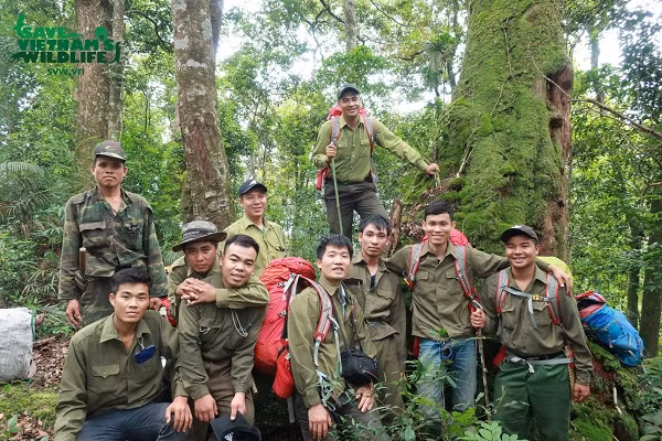 Đội kiểm lâm đặc biệt này có nhiệm vụ triển khai các tuyến tuần tra bảo vệ rừng, truy quét, ngăn chặn cũng như gỡ bỏ các loại bẫy, lán trại, tịch thu súng săn, đẩy đuổi con người ra khỏi khu vực cấm khai thác động thực vật tại Vườn quốc gia Pù Mát.