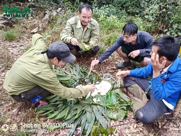 Nỗ lực không ngơi nghỉ của lực lượng kiểm lâm VQG Pù Mát và đội anti-poaching SVW trong việc thực thi pháp luật bảo vệ rừng, góp phần mang lại sự bình yên cho rừng xanh - ngôi nhà an toàn của động vật hoang dã.
