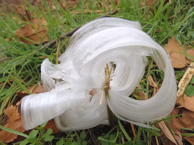 Không đủ thời gian thoát khỏi tán cây nên những giọt nước đóng băng thành từng đám, từng chuỗi sặc sỡ với hình dáng tinh tế như đóa hoa mới nở.