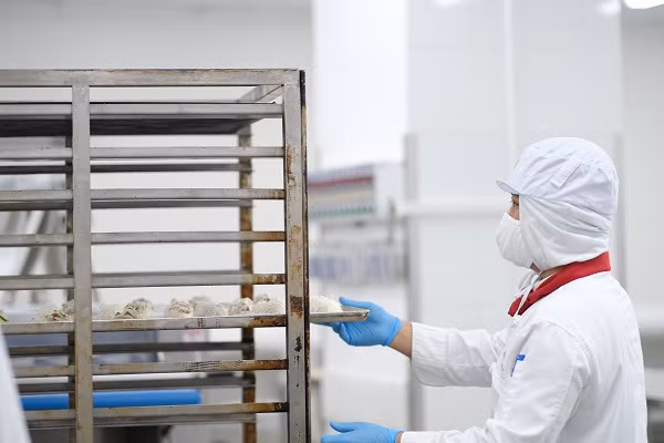 Thời gian đầu, các loại bánh sẽ được phục vụ trên các chuyến bay khởi hành từ Hà Nội và Tp. Hồ Chí Minh với thời gian bay trên 1 tiếng 30 phút, trong bữa ăn nhẹ vào các khung giờ từ 8h30 – 11h00, 13h00 – 17h30, 20h00 – 05h00 sáng hôm sau.