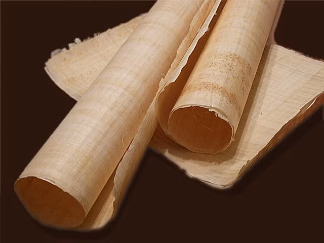 Vào thế kỷ thứ 9, người Trung Quốc đã bắt đầu sử dụng giấy để in tiền. Các hóa đơn giấy đầu tiên (còn gọi là ngân phiếu) được dùng để thay thế tiền mặt hoặc trao đổi.