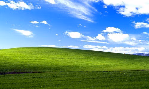 Bức hình nền máy tính huyền thoại mặc định trong Windows XP có tên gọi Bliss với cấu trúc đơn giản, nhìn từ một góc của ngọn đồi với thảm cỏ xanh ngát, mây trời và những bông hoa lốm đốm nở. Ước tính có hơn một tỷ người đã thấy bức ảnh Bliss (Hạnh phúc, PV) này kể từ năm 2001.