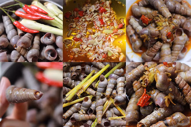Thực tế loài ốc này hoàn toàn vô hại và ăn có vị rất ngon. Ốc đinh là đặc sản tại nhiều tỉnh ở Việt Nam, thường được chế biến thành các món như hấp, xào,...thậm chí còn được xuất khẩu đi nước ngoài.