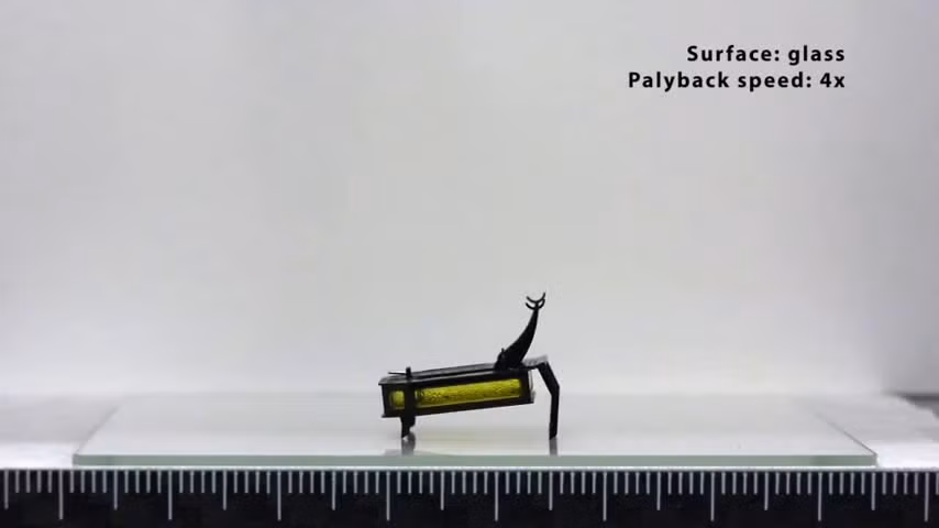 Sự nhỏ gọn đã khiến RoBeetle nằm trong danh sách những robot cực nhỏ và có trọng lượng nhẹ nhất được ứng dụng trong đời sống hiện nay. Theo tạp chí khoa học Science, đây được xem là một trong những robot đầu tiên không dùng điện làm năng lượng.