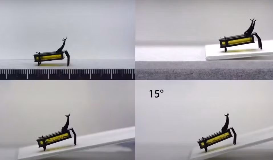 Các thử nghiệm cho thấy RoBeetle có thể di chuyển trên nhiều bề mặt khác nhau, leo dốc, bò trườn trên bề mặt đất, xi măng hay thủy tinh...