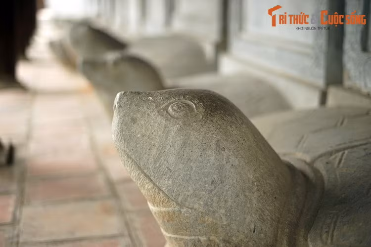 Tượng rùa đội bia Tiến sĩ ở Văn Miếu - Quốc Tử Giám Hà Nội. Những ngày gần đây, việc các sĩ tử tụ tập cầu khấn, đặt lễ tại bia "Hạ mã" bên ngoài Văn Miếu - Quốc Tử Giám Hà Nội do di tích này đóng cửa phòng dịch đã khiến nhiều người ngạc nhiên và bất bình.