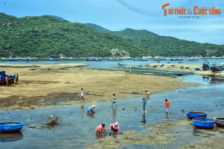 Trái ngược với Thanh Hóa, Ninh Thuận là tỉnh có ít thị trấn nhất cả nước. Tỉnh này có 3 thị trấn là thị trấn Tân Sơn (huyện Ninh Sơn), Khánh Hải (huyện Ninh Hải) và Phước Dân (huyện Ninh Phước). Ảnh: Vịnh Vĩnh Hy ở huyện Ninh Hải, Ninh Thuận.