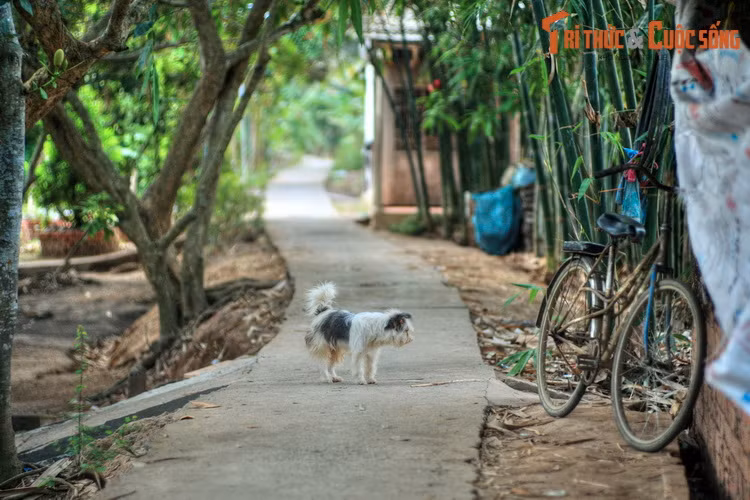 Cùng với không gian yên bình, cổ kính, lòng mến khách và sự thật thà của cư dân vùng sông nước miền Tây càng làm tăng thêm sức hấp dẫn của di sản văn hóa - làng cổ Đông Hòa Hiệp. (Bài có sử dụng tư liệu của Sở VH TT &amp; DL tỉnh Tiền Giang).