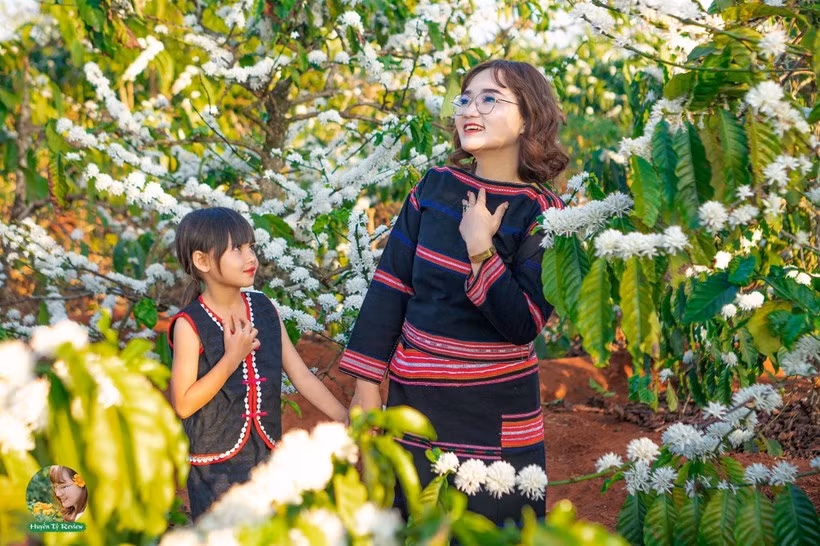 Trong cái nắng hanh hao và những cơn gió se lạnh, đất trời Tây Nguyên như nhuộm bởi màu trắng tinh khôi và quyến rũ của những rẫy cà phê bạt ngàn, tạo nên một bức tranh thiên nhiên hùng vĩ.