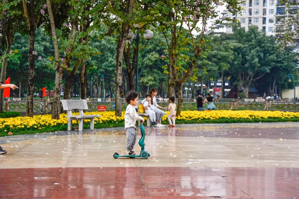 Góc công viên nở rộ hoa ban trở thành nơi lý tưởng để hít thở bầu không khí trong lành sau một ngày dài mệt mỏi.