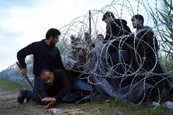 Những người tị nạn Syria cố chui qua hàng rào ở biên giới Hungary – Serbia để vào Hungary ngày 26/8.