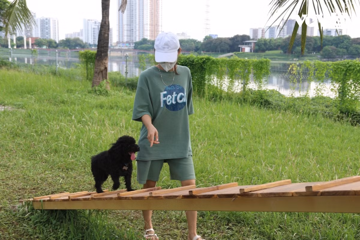 Những chú chó thử sức với những "đồ chơi mới" - Ảnh: vov.vn