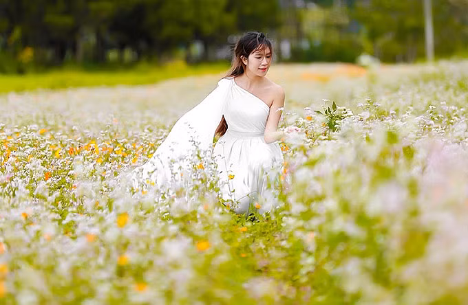 Minh Hà tạo dáng trên một cánh đồng hoa ở Lâm Đồng. Trong phim mới, vợ chồng Lý Hải bỏ tiền túi đầu tư 17 tỷ đồng.