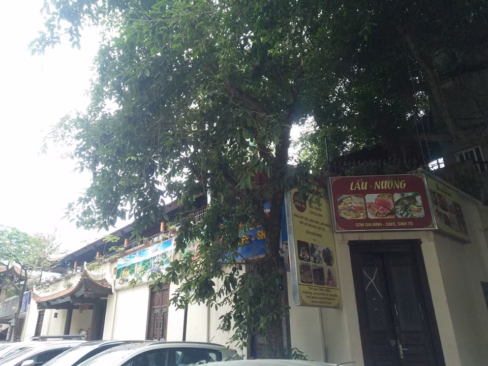 Nha hat mua roi Viet Nam bi “xe thit” lam nha hang-Hinh-2