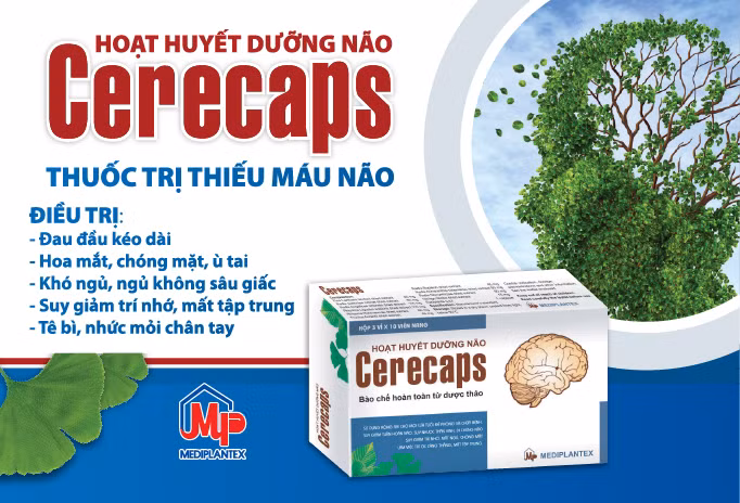 Cách điều trị thiếu máu não hiệu quả - Hình 3 Cach dieu tri thieu mau nao hieu qua-Hinh-3
