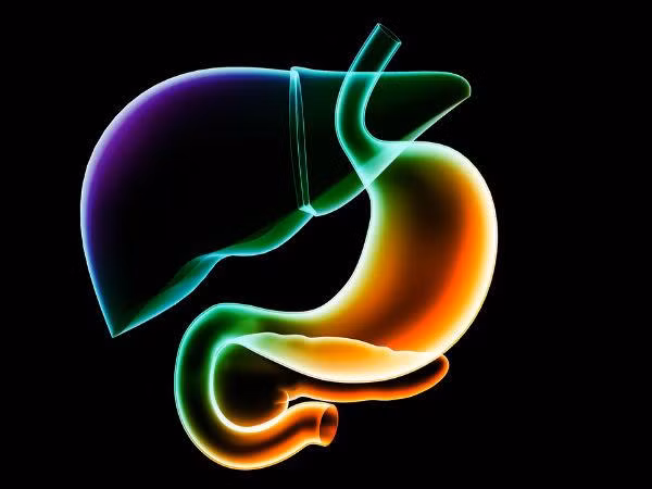 Uống quá nhiều rượu khiến gan bị khô. Tuy nhiên, ở một số người, gan có thể phục hồi ngay cả khi đã chết một phần. Bỏ rượu và ăn những thực phẩm làm sạch cơ thể có chứa axit folic và vitamin B giúp bộ phận cơ thể này hoạt động tốt hơn.