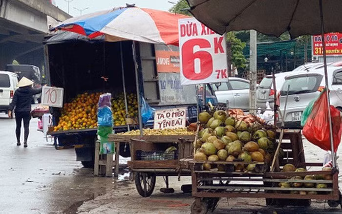 Tiểu thương này cũng cho biết thêm, dừa xiêm thường chia làm 3 loại: loại 1 là hàng to từ 1,3kg trở lên, loại 2 là hàng xổ tầm 1-1,2kg; loại 3 là hàng bi tầm 0,7-1kg. Đây là họ đang xả dừa cũ, nếu là hàng xổ thì bán là giá được, còn hàng bi thì đắt, còn hàng loại 1 thì không có giá này”. Ảnh: Đời sống pháp luật.