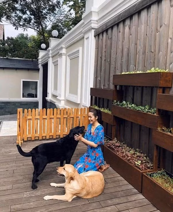 Khoảng sân được vợ chồng Tăng Thanh Hà lát gỗ toàn bộ.
