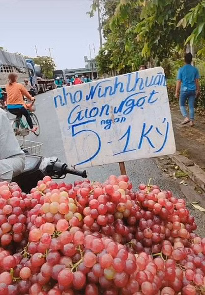 Thế nhưng, nếu không tinh ý, chắc chắc khách hàng sẽ "ăn ngay cú lừa" ngoạn mục. Chẳng hạn như nho Ninh Thuận giòn ngọt tưởng đâu có 5.000 đồng/kg...Ảnh minh họa