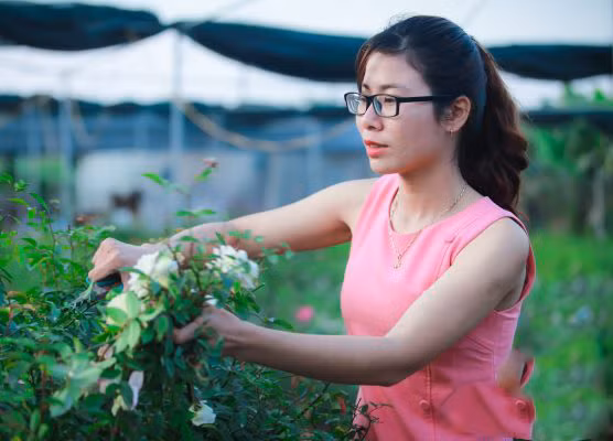 Bỏ qua nhiều cơ hội việc làm tốt sau khi ra trường để theo đuổi đam mê trồng hoa, giờ đây cô gái 9X Phạm Thiên Trang đã trở thành “cô chủ nhỏ” của vườn hồng rộng hơn 2 héc ta giữa Hà Nội. Ảnh: Baotintuc.