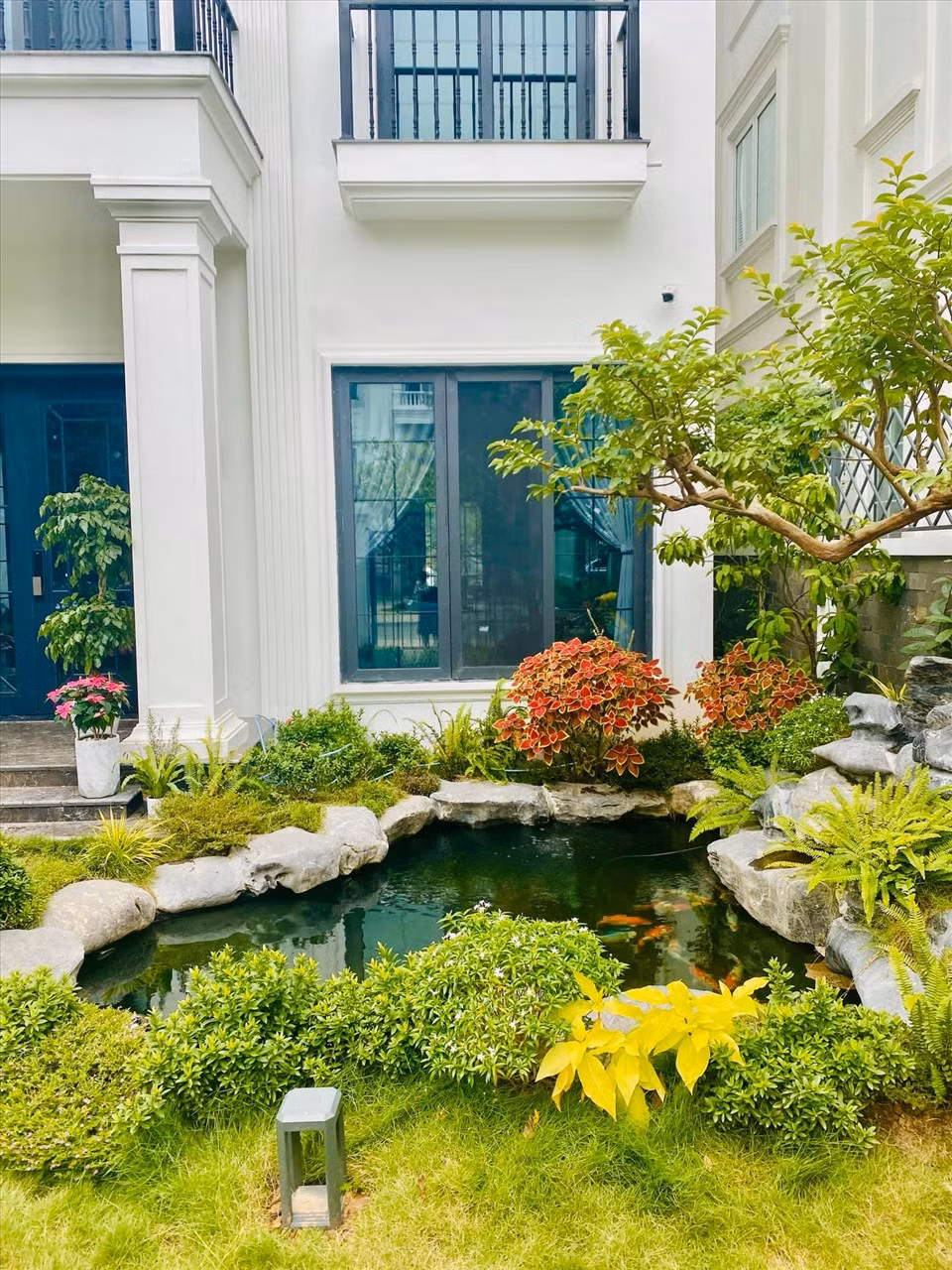 Diễn viên Lã Thanh Huyền cũng thiết kế một hồ cá Koi có kích thước lớn trong căn biệt thự tiền tỷ ở Hà Nội.