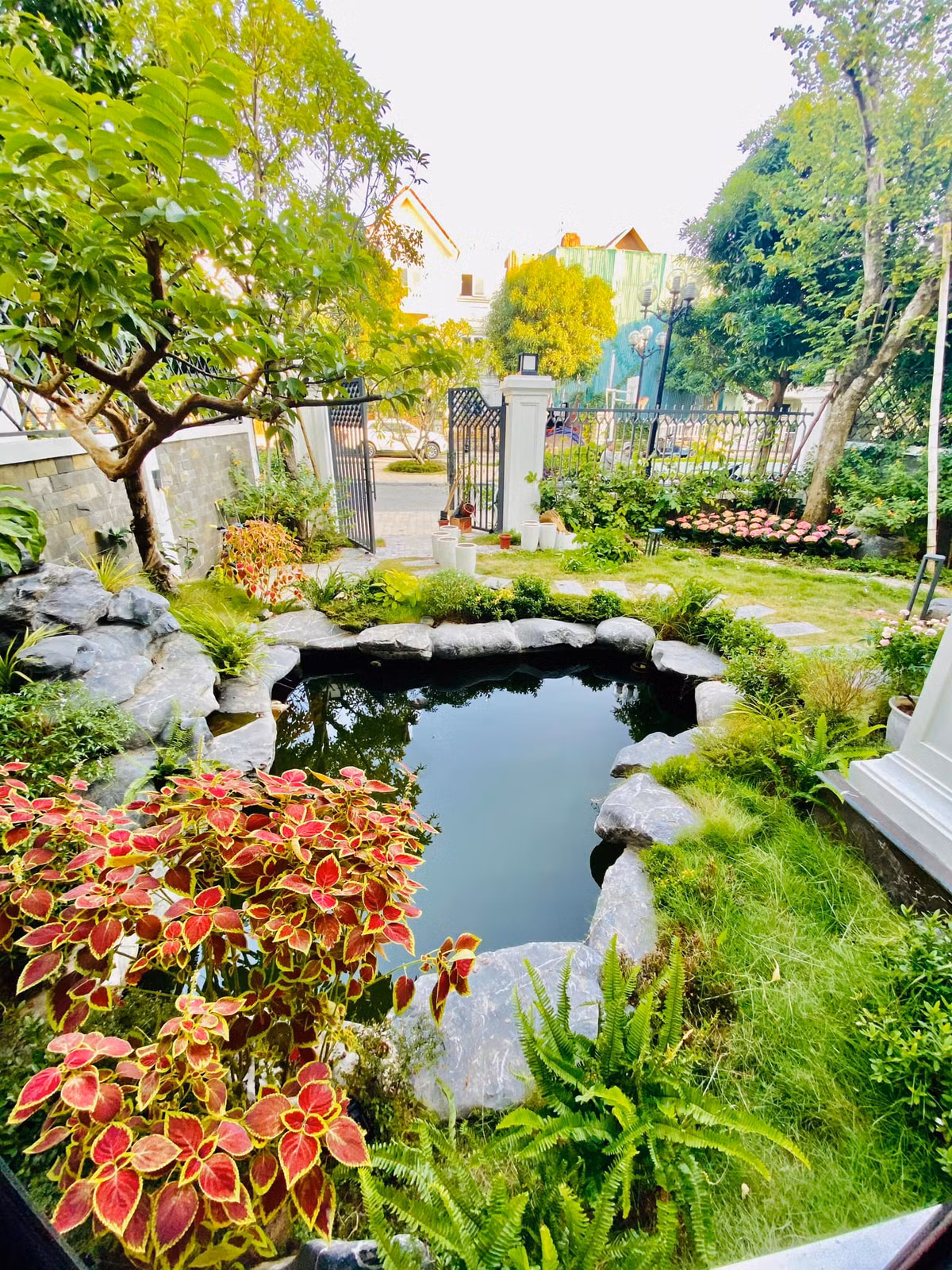 Hồ cá tạo cảnh quan đẹp mắt.