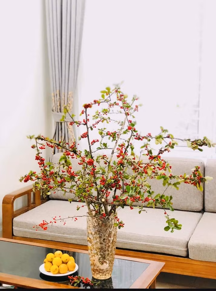 Cô Hạnh (một người bán cherry rừng) cho biết, hiện nay người cắm hoa đặc biệt chú ý đến cành hoa, cây lạ. Cherry rừng hiện đang được ưa chuộng vì mới lạ, dáng mảnh khảnh.