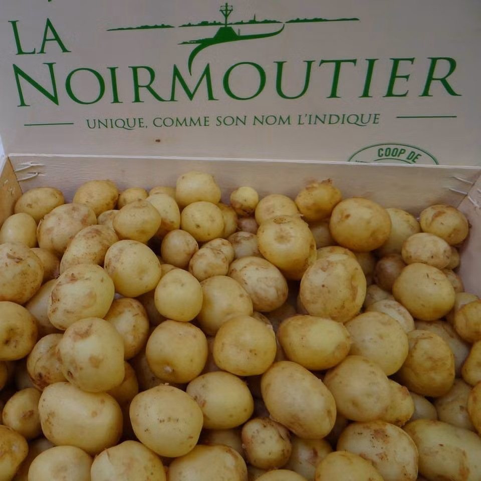 La Bonnotte được mệnh danh là "vua của các loại khoai tây" khi thường xuyên có giá khoảng 700 USD/kg (khoảng 16 triệu đồng). Tuy nhiên, trong một buổi đấu giá vào năm 1996, giống khoai tây này được mua với giá lên tới 1.200 USD/kg (khoảng 27 triệu đồng), khiến nó trở thành giống khoai tây đắt nhất thế giới.
