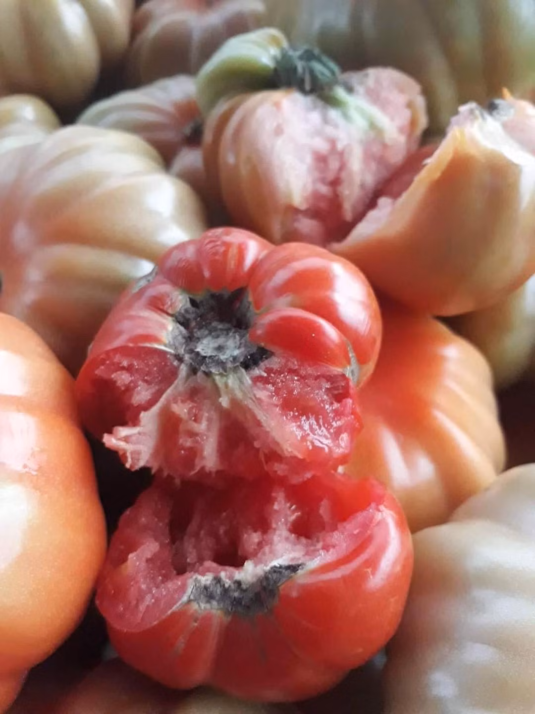 Chị Thúy (Nam Từ Liêm, Hà Nội) cho biết cũng mới nhập giống cà chua múi ở Sơn La về bán. Nhìn quả xấu xí, giá cao nhưng chị không đủ hàng trả cho khách đặt.