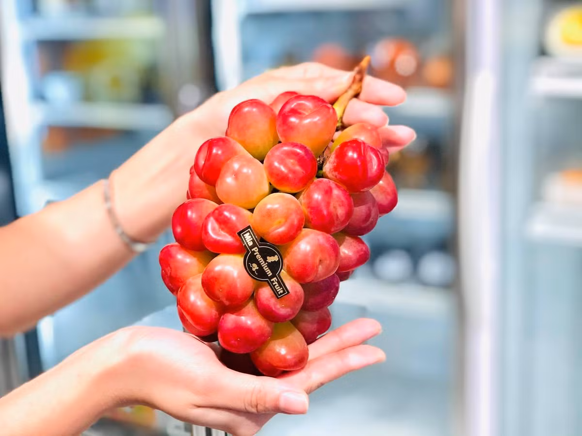 Vừa qua, một cửa hàng trái cây cao cấp ở TP HCM giới thiệu đến khách hàng loại nho trái tim độc đáo nhập khẩu từ Nhật Bản. Cửa hàng gọi loại nho hình trái tim này là nho Trái tim vị xí muội. Ảnh: Mia Fruits