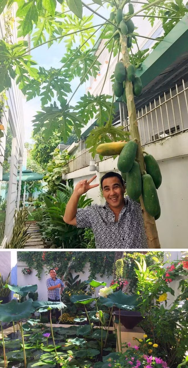 Vườn rau xanh nhà Quyền Linh khá phong phú với đa dạng các loại rau tốt cho sức khỏe.