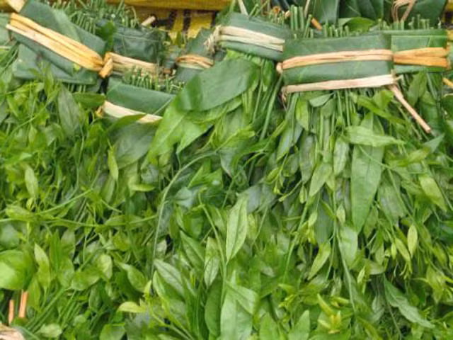 Rau sắng mọc trong rừng sâu cũng có giá khá cao trên thị trường từ 120.000 đồng – 200.000 đồng/kg tuỳ thời điểm. Đặc biệt, rau sắng chùa Hương nổi tiếng có khi còn lên tới hàng triệu đồng một ký.