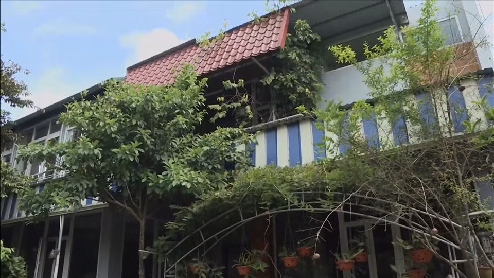 Căn nhà của NSND Thanh Hoa được bao phủ bởi nhiều cây xanh. Ảnh: Lao động.