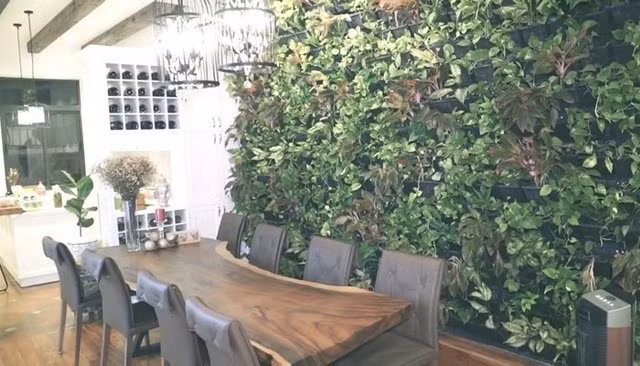 Nhà bếp và phòng ăn bài trí tối giản với thảm cây xanh và bộ bàn ghế gỗ sang trọng. Ảnh: Lao động.