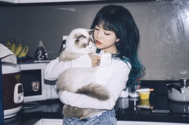 Hot streamer Linh Ngọc Đàm cũng sở hữu quán cà phê mèo với thiết kế vô cùng xa hoa. Tuy không tiết lộ cụ thể chi phí đầu tư quán nhưng cô cho biết con số là vô cùng lớn. Ảnh: Internet.