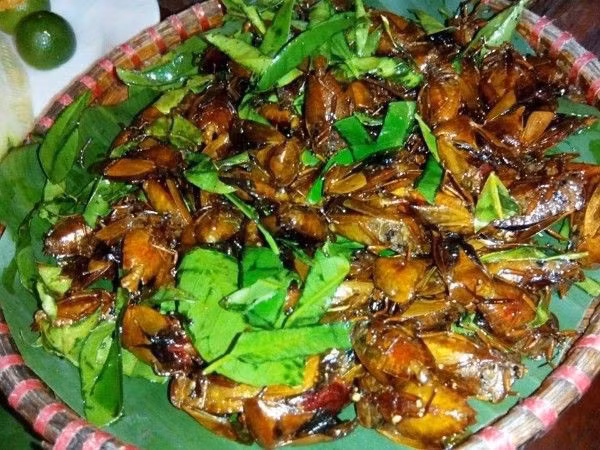 Bọ xít có thể chế thành nhiều món nhưng phổ biến nhất là bọ xít rang lá chanh. 